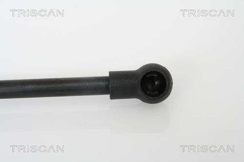 Vérin (Vérin de hayon) Triscan A/S 8710 11224