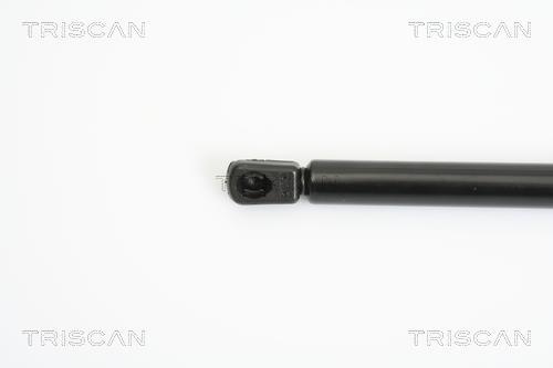 Vérin (Vérin de hayon) Triscan A/S 8710 11225