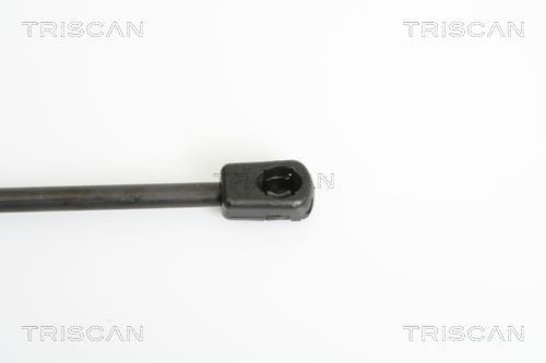 Vérin (Vérin de hayon) Triscan A/S 8710 11225