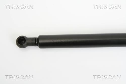 Vérin (Vérin de hayon) Triscan A/S ref. 8710 11226