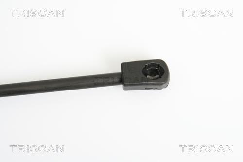 Vérin (Vérin de hayon) Triscan A/S ref. 8710 11226