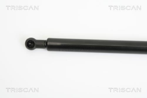 Vérin (Vérin de hayon) Triscan A/S 8710 11227