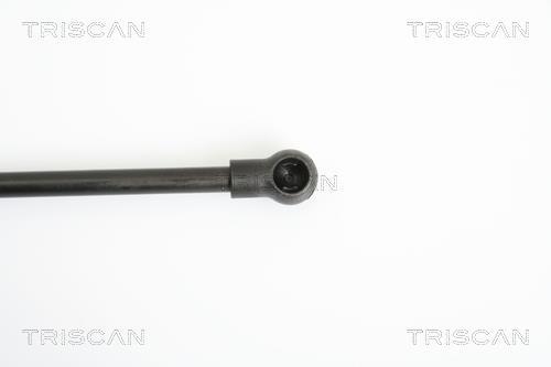 Vérin (Vérin de hayon) Triscan A/S 8710 11227