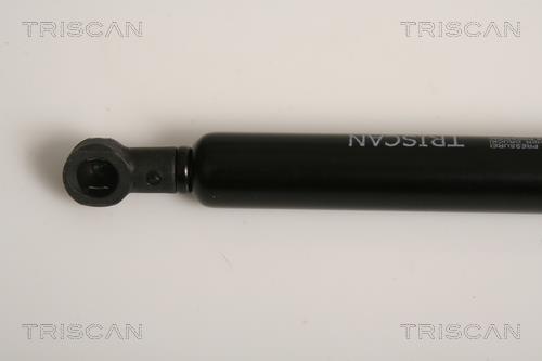 Vérin (Vérin de hayon) Triscan A/S 8710 11230
