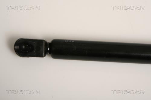 Vérin (Vérin de hayon) Triscan A/S 8710 11234