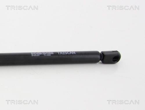 Muelle neumático Triscan A/S ref. 8710 11237