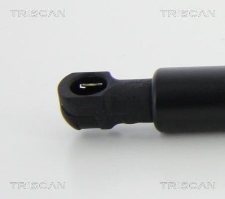 Vérin (Vérin de hayon) Triscan A/S ref. 8710 11240