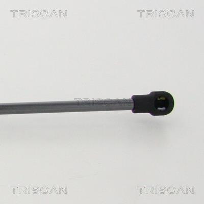 Muelle neumático Triscan A/S 8710 11244
