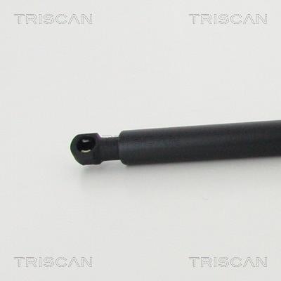 Muelle neumático Triscan A/S 8710 11244