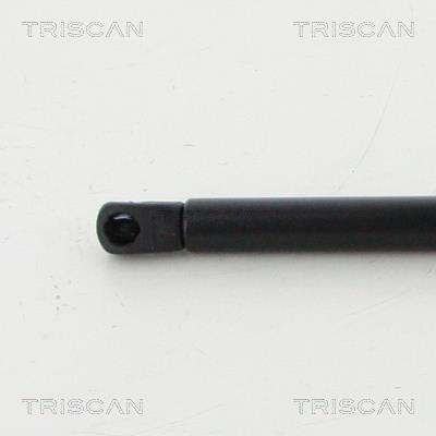 Muelle neumático Triscan A/S 8710 11247