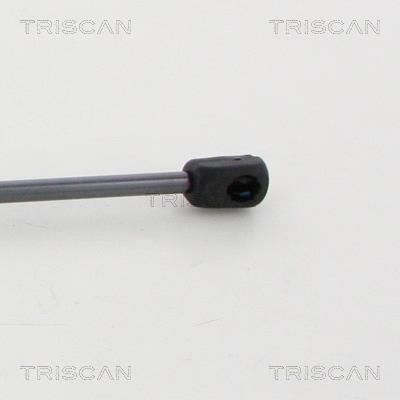 Muelle neumático Triscan A/S 8710 11247