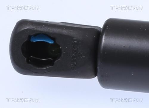 Vérin (Vérin de hayon) Triscan A/S 8710 11248