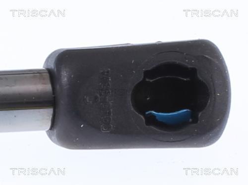Vérin (Vérin de hayon) Triscan A/S 8710 11248