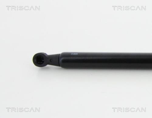 Vérin (Vérin de hayon) Triscan A/S 8710 11294