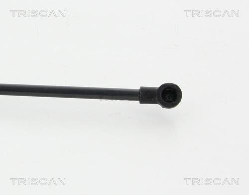 Vérin (Vérin de hayon) Triscan A/S 8710 11294