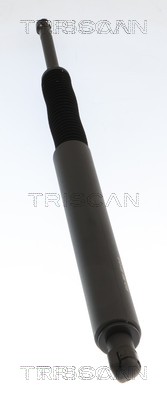 Vérin (Vérin de hayon) Triscan A/S 8710 11295
