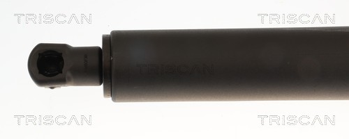 Vérin (Vérin de hayon) Triscan A/S ref. 8710 11296