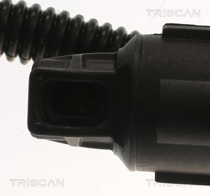 Vérin (Vérin de hayon) Triscan A/S 8710 11302
