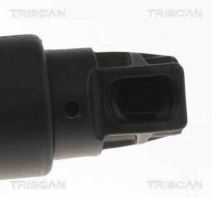 Vérin (Vérin de hayon) Triscan A/S 8710 11304