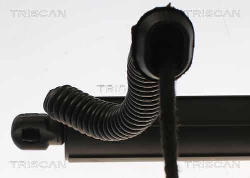 Vérin (Vérin de hayon) Triscan A/S 8710 11305