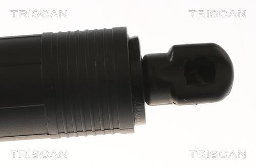 Vérin (Vérin de hayon) Triscan A/S 8710 11305