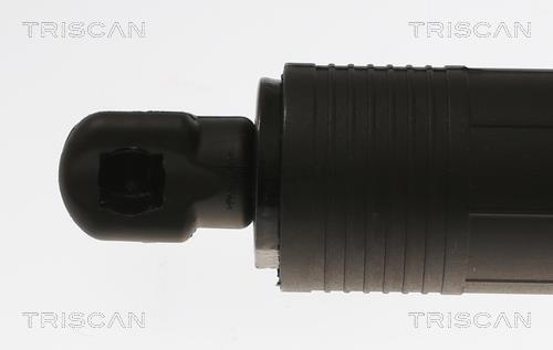Vérin (Vérin de hayon) Triscan A/S 8710 11306