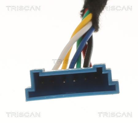 Vérin (Vérin de hayon) Triscan A/S 8710 11306