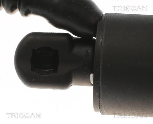 Muelle neumático Triscan A/S 8710 11307