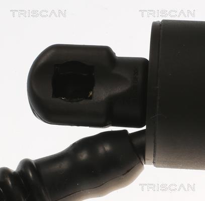 Vérin (Vérin de hayon) Triscan A/S 8710 11308
