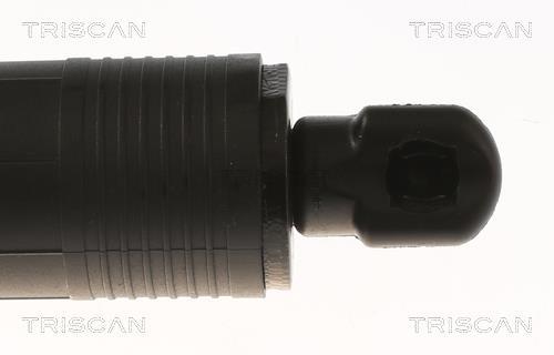 Vérin (Vérin de hayon) Triscan A/S 8710 11308