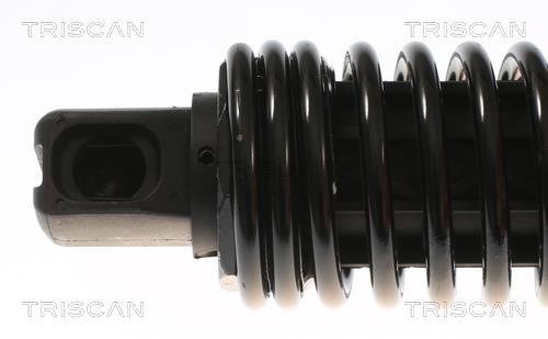Vérin (Vérin de hayon) Triscan A/S 8710 11309