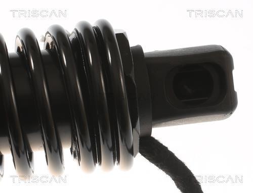 Vérin (Vérin de hayon) Triscan A/S 8710 11309