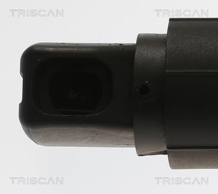 Vérin (Vérin de hayon) Triscan A/S 8710 11313