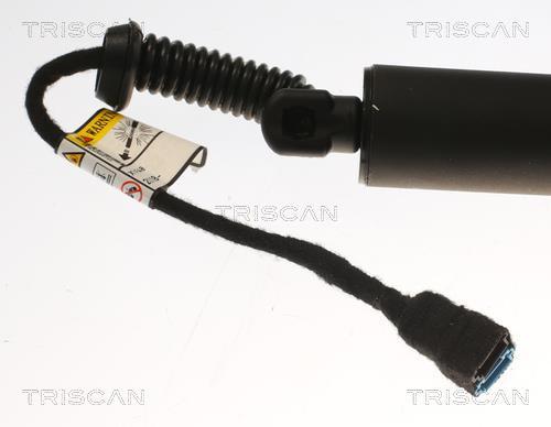 Muelle neumático, maletero/compartimento de carga Triscan A/S ref. 8710 11358