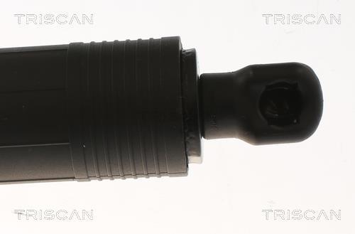 Muelle neumático, maletero/compartimento de carga Triscan A/S ref. 8710 11358