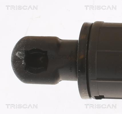 Muelle neumático, maletero/compartimento de carga Triscan A/S ref. 8710 11359