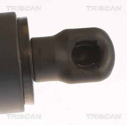 Muelle neumático, maletero/compartimento de carga Triscan A/S ref. 8710 11359