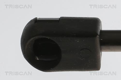 Muelle neumático, maletero/compartimento de carga Triscan A/S ref. 8710 11362