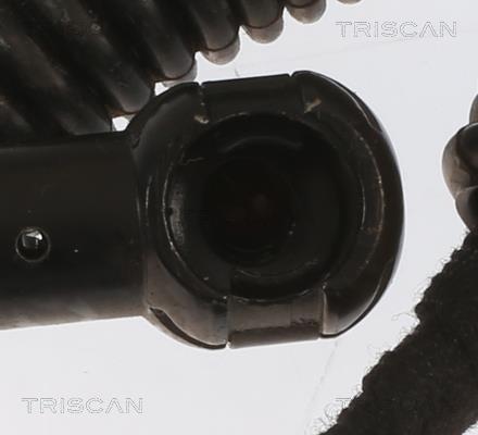 Muelle neumático, maletero/compartimento de carga Triscan A/S ref. 8710 11364