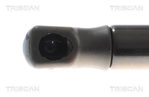 Vérin, capot-moteur Triscan A/S ref. 8710 11366