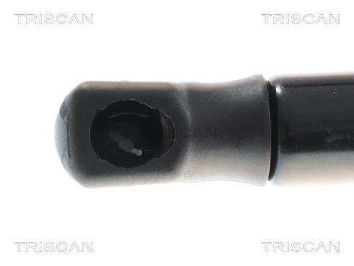 Amortecedor do capô do motor Triscan A/S 8710 11367