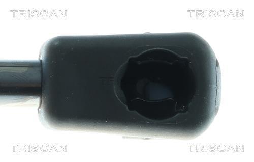 Amortecedor do capô do motor Triscan A/S 8710 11367