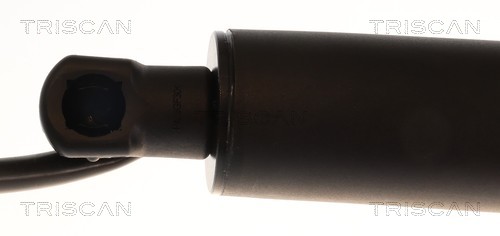 Vérin de hayon, de coffre (Vérin de hayon) Triscan A/S 8710 11376