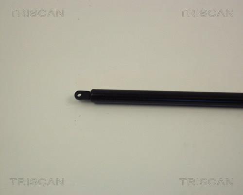 Vérin (Vérin de hayon) Triscan A/S ref. 8710 1201