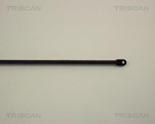 Vérin (Vérin de hayon) Triscan A/S ref. 8710 1201
