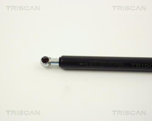 Cilindro Triscan A/S 8710 12102