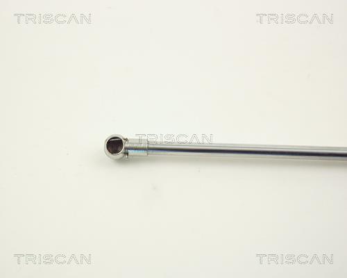 Cilindro Triscan A/S 8710 12102