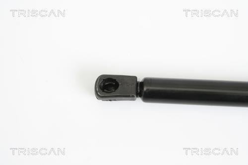 Vérin (Vérin de hayon) Triscan A/S 8710 12104