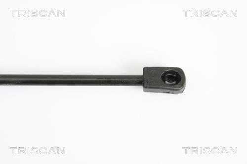 Vérin (Vérin de hayon) Triscan A/S 8710 12104