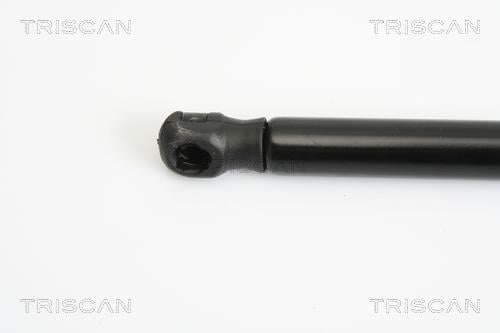 Vérin (Vérin de hayon) Triscan A/S 8710 12105
